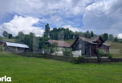 Teren de 36000 mp, în Bosanci - 6