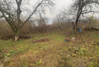 Casă de vânzare în mediul rural - 13