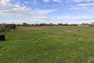 RECO teren intravilan Cefa cu proiect casa RECO teren intravilan Cefa cu proiect casa - 3