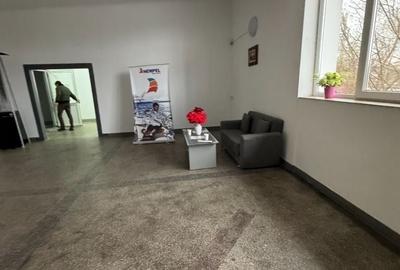 Spațiu comercial, de 300 mp, în Băjești - 8