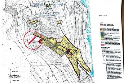 Teren de 10000 mp, în Frumoasa - 1