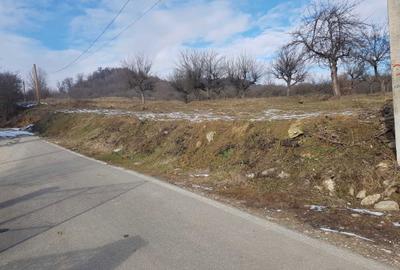 Spațiu comercial, în Stâlpeni - 13