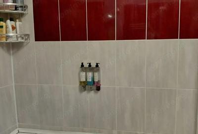 Casa spa?ioasa ?i primitoare, gata de mutare! Tulucesti! - 15