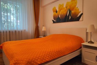 Apartament cu 2 camere decomandat în Cișmigiu - 3