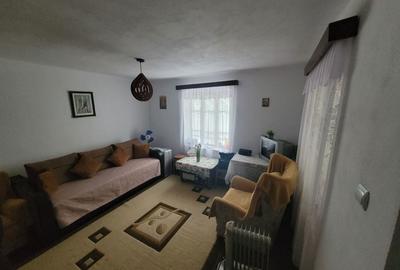 Casă cu 2 camere în Giurgița - 5
