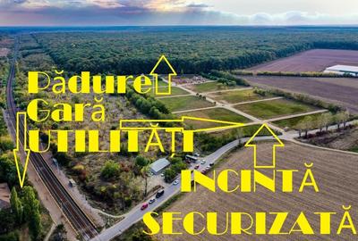 Teren De vânzare 750 mp  Forest - Bălteni, Gara, Pădure  Curent Apa  F. Optică