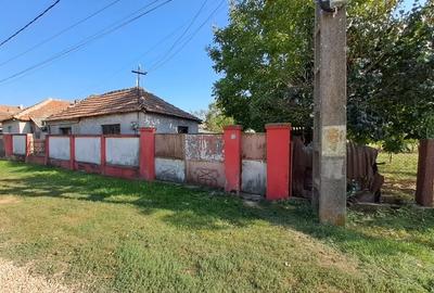 Teren intravilan Les/Bihor - 3