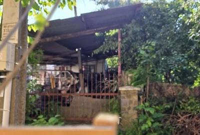 Casă cu 2 camere cu Teren 600 Mp în Elisabetin - 2