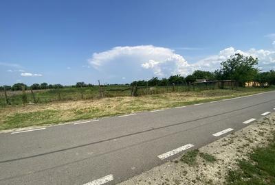 Spațiu comercial, în Șimand - 3