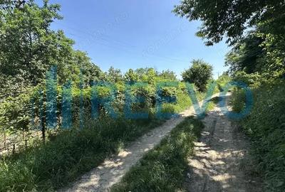 Teren de vanzare, Zona Ura, Bacau - 5