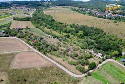 Teren de 4500 mp, în Nord - 4