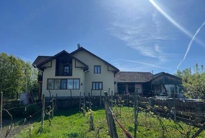 Casă cu Teren 9000 Mp în Bumbești-Pițic - 4