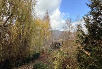 Casa de vacanta cu panorama  spre lac - 15