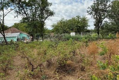 Casă individuală cu 3 camere cu Teren 943 Mp în Vâlcelele - 7