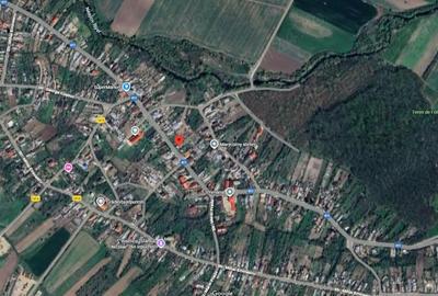 Teren cu casa in comuna Iepuresti, judetul Giurgiu - 6