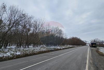 Teren 10,000mp Rada?eni / ?oseaua DN2-E85, jude?ul S... - 2