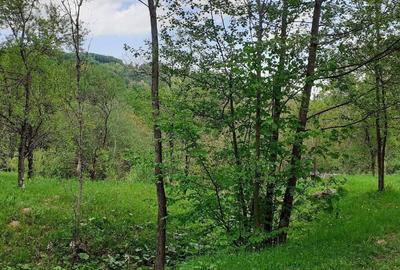 Teren de 5150 mp, în Șotrile - 4