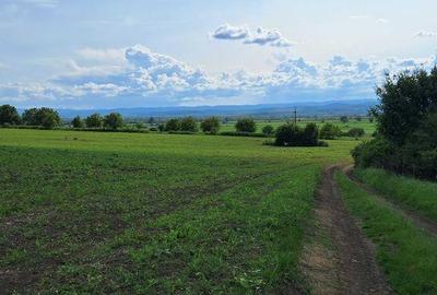 Teren de 1400 mp, în Hărău - 3