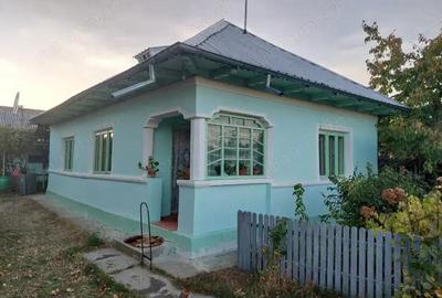 Casa batraneasca bine intretinuta in Bahna - 12