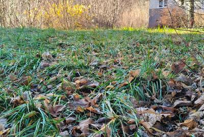 Proiect si autorizatie imobil 6 apartamente, 800 mp, P+2E+M - 3