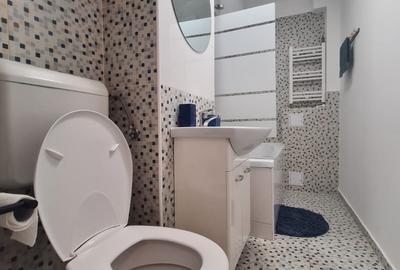 Garsoniera luminoasa 12 min M Timpuri Noi DB1437 - 3