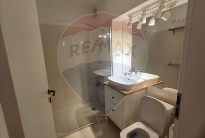 Apartament cu 2 camere de vanzare in zona Podgoria - 14