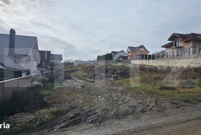 Spațiu comercial, în Viișoara - 1