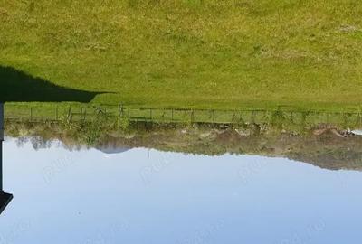 Casă cu 4 camere cu Teren 5800 Mp în Tăuții-Măgherăuș - 5