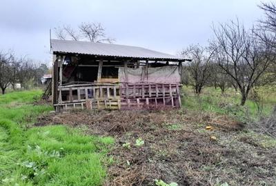 BARCANESTI -  casa +curte+teren 16k mp - 9