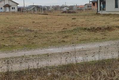 Teren de 800 mp, în Alparea - 6