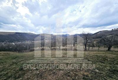 Teren intravilan de vanzare, Geogiu de Sus - 2