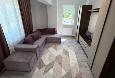 Apartament cu 2 camere în Frumoasa - 8