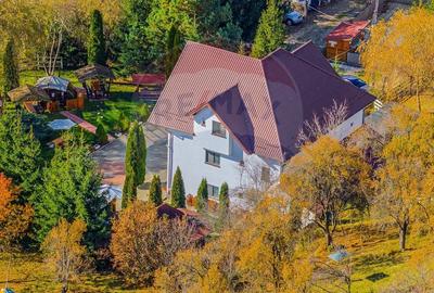 Pensiunea Scarisoara - Refugiul din Inima Rucarului | Comision 0% - 12