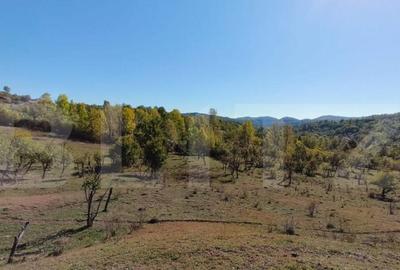 Teren de 7382 mp, în Central - 2