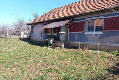 Casă cu Teren 6996 Mp în Cerișor - 4