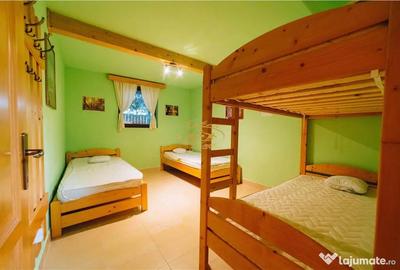 Casă cu 12 camere cu Teren 19841 Mp în Vale - 12