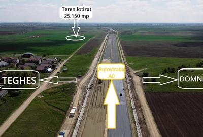 Teren Construcții intravilan de 25150 mp, în Domnești - 3