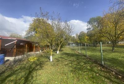 Casute Breaza, teren 1140 mp Casute Breaza, teren 1140 mp - 12