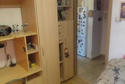 Apartament 2 camere - mobilat/utilat - PIATA DELFINULUI - 3