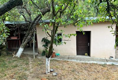 Vanzare Casa Govora | centrala termica | 366mp curte libera - 15