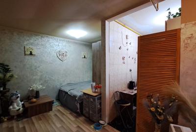 OCAZIE ! ANDA GARSONIERA 27 MP. MOBILATA UTILACA CENTRALA PE GAZE 33.500 EURO - 5