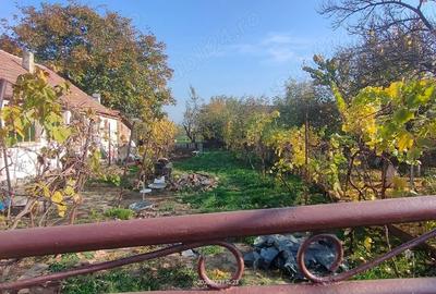 Teren de 757 mp, în Orțișoara - 1