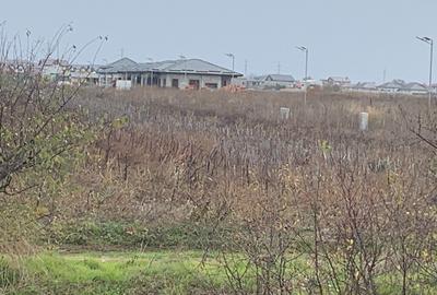 Teren Sabareni langa padure 10 minute pana in Bucuresti 6800mp - 5