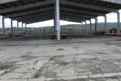 Teren Construcții intravilan de 26750 mp, în Luduș