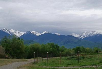 Teren de 1400 mp, în Cârțișoara - 5