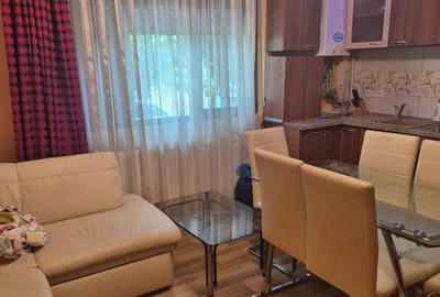 Apartament cu 2 camere în Carpați 2 - 9