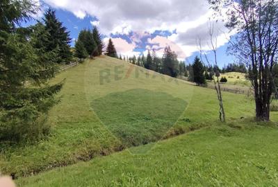 Teren de 14318m.p. in Paltinis, la 100m de strada Princi... - 2