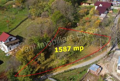 Teren de vanzare in comuna Arefu, jude? Arge?. - 1