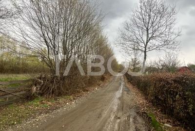 Teren intravilan de vanzare 550m front 21 m utilitati la 120m Cisnadie - 4