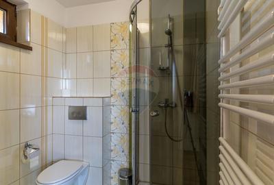 EXCLUSIV! Vila cu 7 camere, teren 7535mp, Risca, Comision 0% - 27